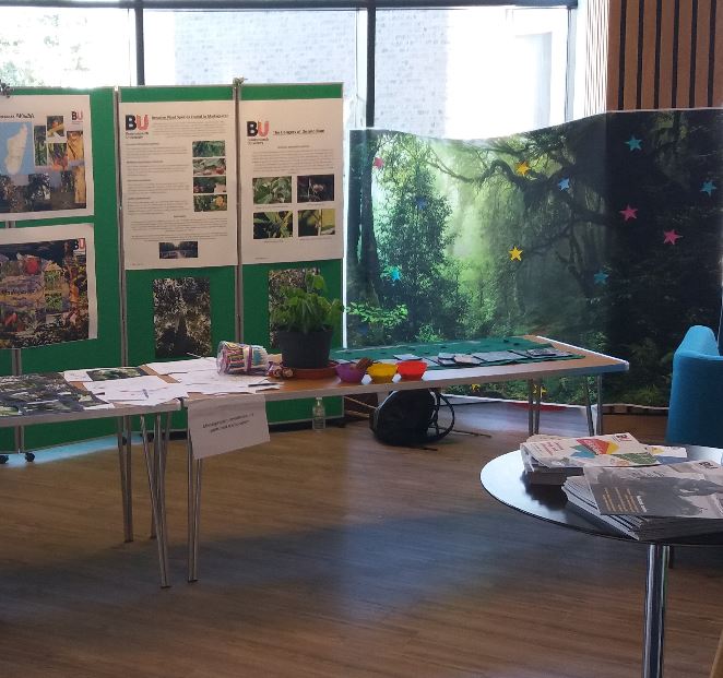 The rainforests of Madagascar are filled with special species. At this Festival of Learning stall we  showcased posters, images and sounds of some of the wonderful wildlife we found. We also had interactive puzzles and games for younger visitors.