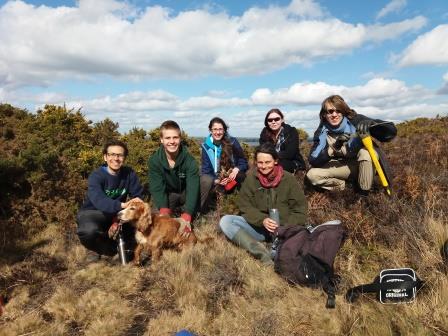 We have started a project in colloboration with Dorset’s Heathland Heart Project from Back from the Brink with a team of SUBU Wildlife Conservation Society students. The aim is to make and monitor microhabitats for the rare Purbeck Mason Wasp. These need special bare ground patches on heaths in which to make egg burrows. We will create varied patches and test which are used most by the wasps and other burrowing insects.