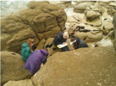 This research tested the hypothesis that limpet species adapt to changes in temperature at the expense of adaptation to other stressors. We examined limpet shell morphology on four shores in each of three regions, from Northern Spain to Southern Portugal. Follow the link to our paper to see what we found. 